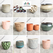 Load image into Gallery viewer, the Leaferie As-is september 2024. 12 pot