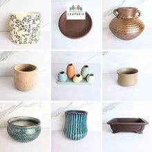 Load image into Gallery viewer, The Leaferie As-is Pot June 2025. 9 items