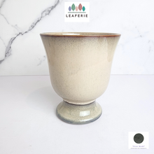 Load image into Gallery viewer, The Leaferie Keave trophy beige ceramic pot