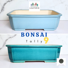 Load image into Gallery viewer, The Leaferie Rectangular bonsai pot. 2 colours ceramic material