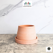 Load image into Gallery viewer, The Leaferie Ylva terracotta pot with tray