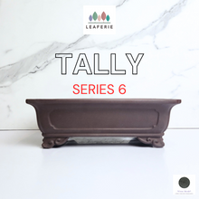 Load image into Gallery viewer, The Leaferie Bonsai Tally Rectangular series 6 flowerpot