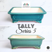 Load image into Gallery viewer, The Leaferie Bonsai Tally Series 5 . rectangular bonsai pot..2 colours. ceramic material
