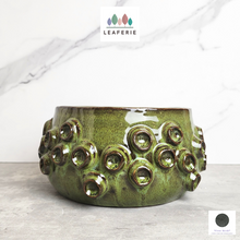 Load image into Gallery viewer, The Leaferie Harper shallow pot. ceramic green colour