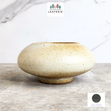 Load image into Gallery viewer, The Leaferie Xavia shallow flowerpot. beige colour and ceramic material