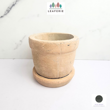 Load image into Gallery viewer, The Leaferie Yaritza Terracotta pot with tray