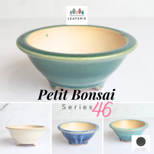Load image into Gallery viewer, The Leaferie Petit bonsai series 46. 3 colours bonsai pots