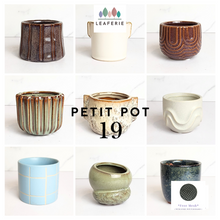 Load image into Gallery viewer, Petit Flowerpots (Series 19)