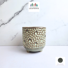 Load image into Gallery viewer, The Leaferie Terra crate ceramic pot with legs