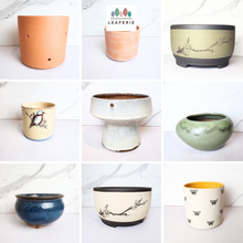 Load image into Gallery viewer, The Leaferie As-is March 25 . 9 items