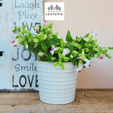 Load image into Gallery viewer, Patrice Pot