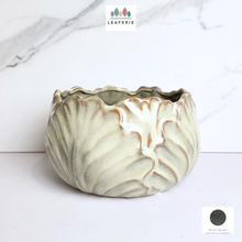 Load image into Gallery viewer, The Leaferie Kolden Shallow pot. ceramic material and beige colour.