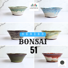 Load image into Gallery viewer, Bonsai Flowerpot (Series 51) 8 colours