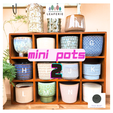 Load image into Gallery viewer, Mini Flowerpots (Series 2) 10cm