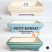 Load image into Gallery viewer, The Leaferie Petit bonsai series 47. 3 colours rectangular bonsai pot