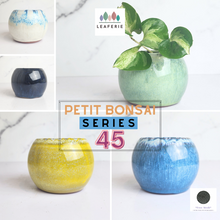 Load image into Gallery viewer, The Leaferie Petit Bonsai series 45. 5 colours ceramic pot for succulents