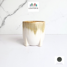 Load image into Gallery viewer, The Leaferie Noel ceramic pot.