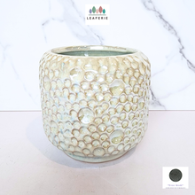 Load image into Gallery viewer, The Leaferie Olivia pearlescent ceramic pot