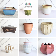 Load image into Gallery viewer, As-Is Pots Batch Nov/Dec 2024 (9 items)
