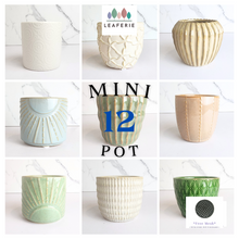 Load image into Gallery viewer, Mini Flowerpots (Series 12)
