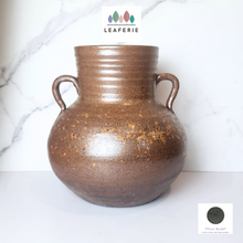 Load image into Gallery viewer, The Leaferie Atticus bug brown pot with handle.
