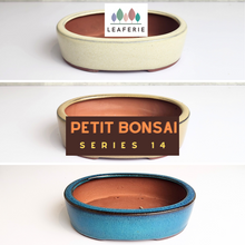 Load image into Gallery viewer, The Leaferie Petit Bonsai Series 14 . oval bonsai pot. 3 colours. ceramic . photo of 3 colours