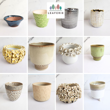 Load image into Gallery viewer, The Leaferie As-is July 2024. 12 designs