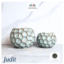 Load image into Gallery viewer, Judit Flowerpot