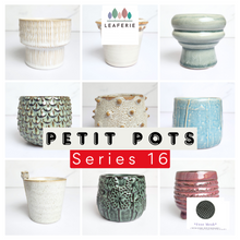 Load image into Gallery viewer, Petit Flowerpots (Series 16)
