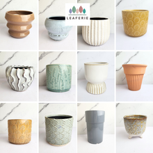 Load image into Gallery viewer, The Leaferie AS-Is May 2024. 12 pieces ceramic pots