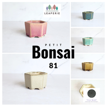 Load image into Gallery viewer, The Leaferie Bonsai pot series 81. hexagon ceramic pot. 5 colours