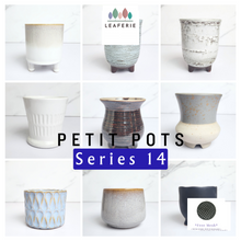 Load image into Gallery viewer, Petit Flowerpots (Series 14)