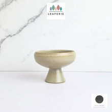 Load image into Gallery viewer, The Leaferie Jaxon Flowerpot. ceramic fruit bowl pot