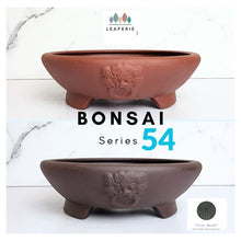 Load image into Gallery viewer, Bonsai Flowerpot (Series 54)