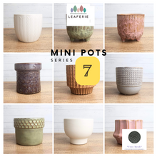 Load image into Gallery viewer, Mini Flowerpots (Series 7) 10cm