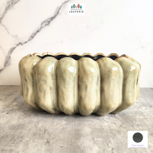 Load image into Gallery viewer, The Leaferie Sable shallow pot. ceramic material