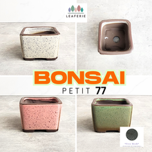 Load image into Gallery viewer, The Leaferie Petit Bonsai Series 77 (4 colours) square ceramic material
