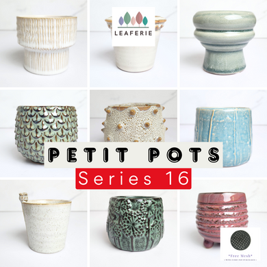 The Leaferie Petit pots series 16. 9 designs of ceramic pot . suitable for succulents