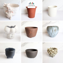 Load image into Gallery viewer, The Leaferie As-Is Feb 2025. 9 pieces items