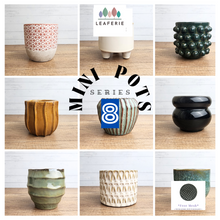 Load image into Gallery viewer, Mini Flowerpots (Series 8) 10cm