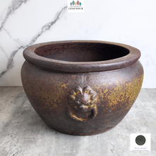 Load image into Gallery viewer, The Leaferie Lorelei no drainage hole suitable for fish bowl.