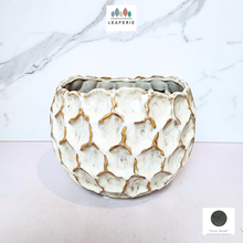 Load image into Gallery viewer, The Leaferie Eclipse ceramic Flowerpot