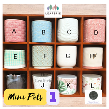Load image into Gallery viewer, Mini Flowerpots (Series 1) 10cm