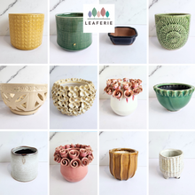 Load image into Gallery viewer, The Leaferie As-Is Batch june 2024. defective pot 12 pieces.