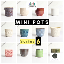 Load image into Gallery viewer, Mini Flowerpots (Series 6) 10cm