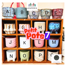 Load image into Gallery viewer, Petit Flowerpots (Series 7)