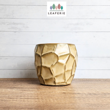 Load image into Gallery viewer, The Leaferie Thalia pot. yellowish ceramic pot with geometric shape.
