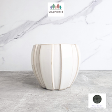 Load image into Gallery viewer, The Leaferie Auralie white ceramic flowerpot.