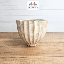 Load image into Gallery viewer, The Leaferie Tho Beige ceramic Pot.