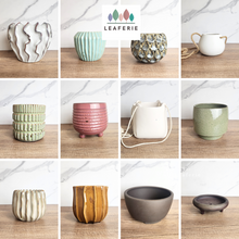 Load image into Gallery viewer, The Leaferie AS-IS Pots December 23.